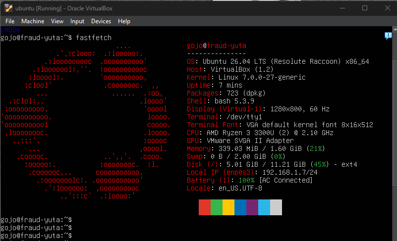 Package updating on VPS
